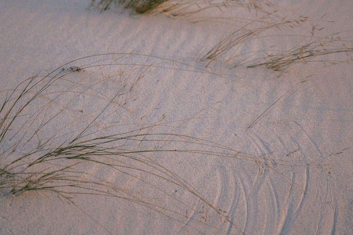 gypsum sand dunes at White Sands National Park New Mexico turning pink and lavender at sunset