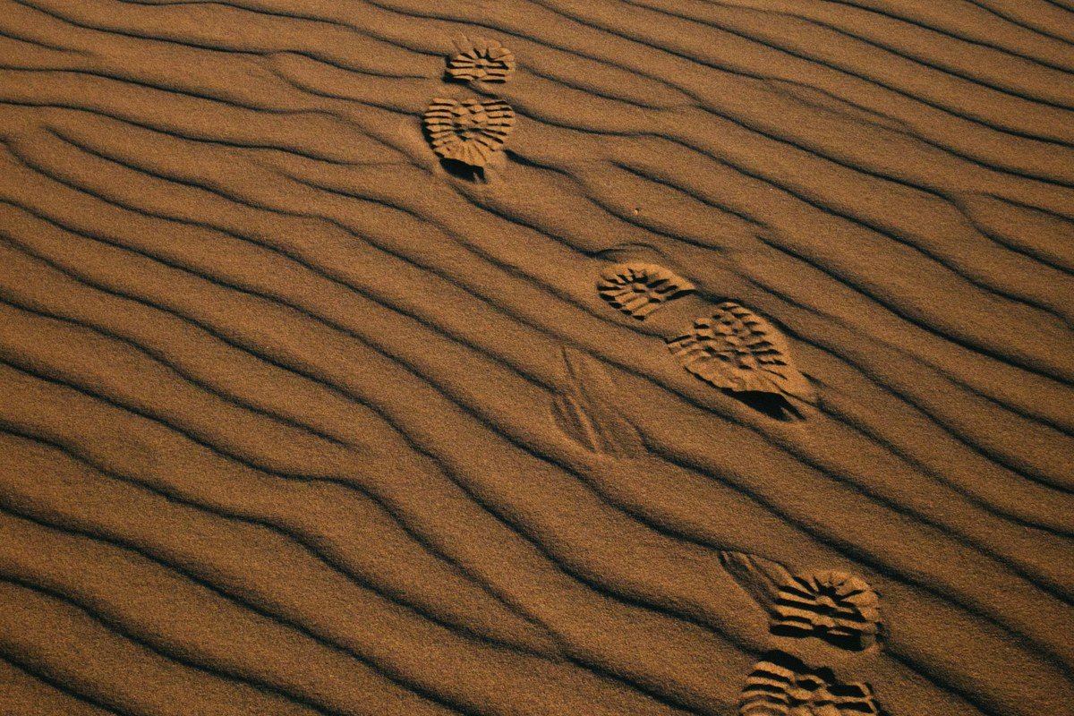 Mesquite Flat Sand Dunes Death Valley California at sunrise with rippled sand patterns and no footprints