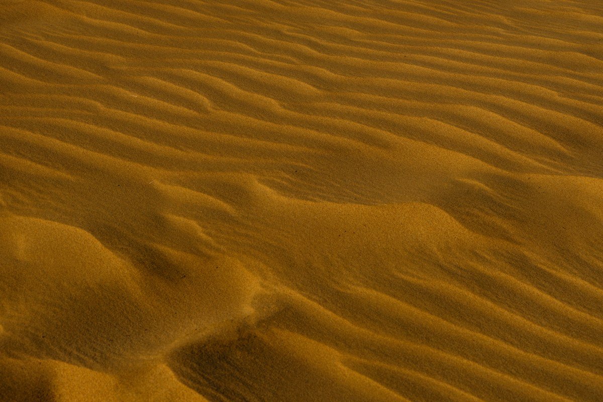 Jockey's Ridge State Park North Carolina tallest East Coast sand dune at sunset with hang gliders