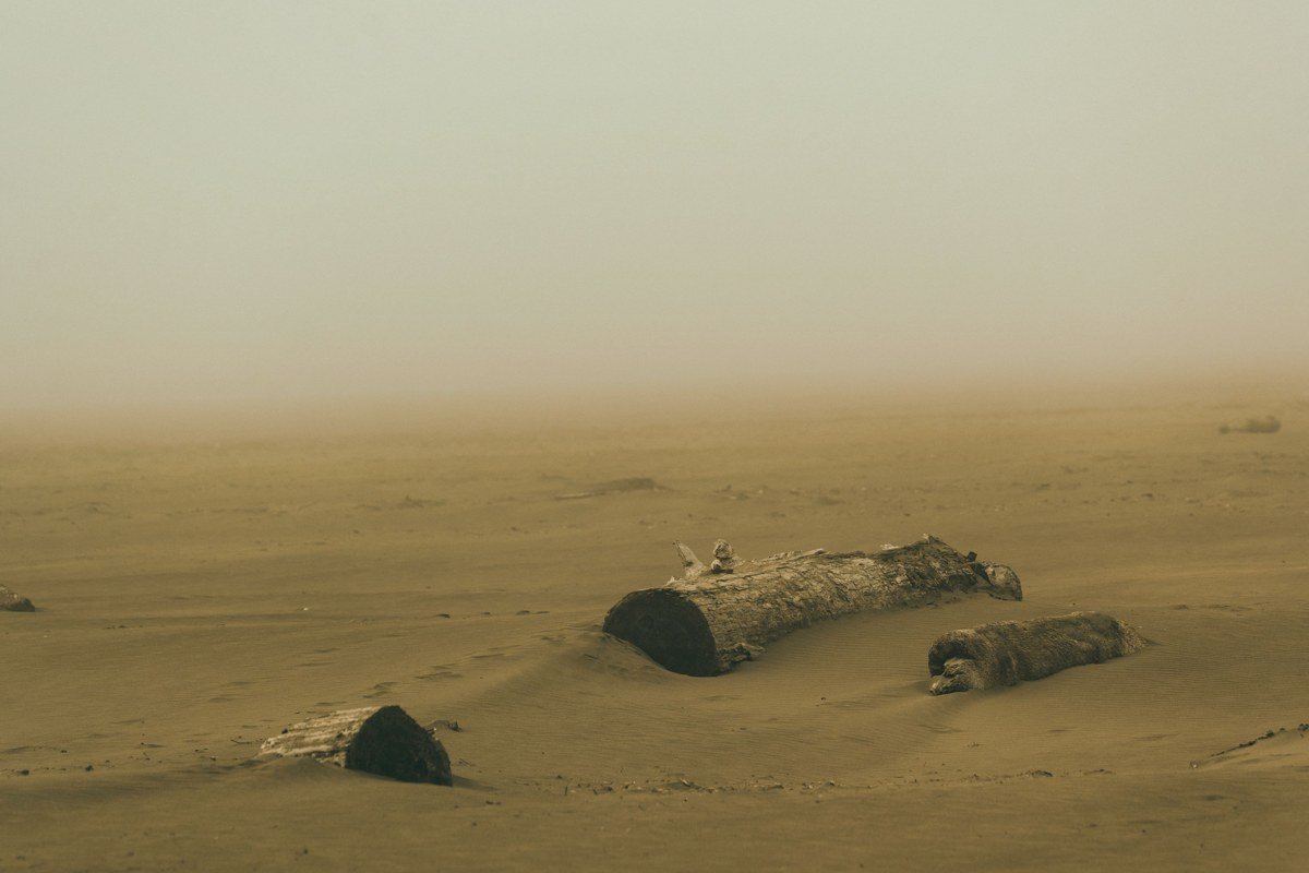 driftwood logs and sea stacks at Ruby Beach, the horizon erased by fog