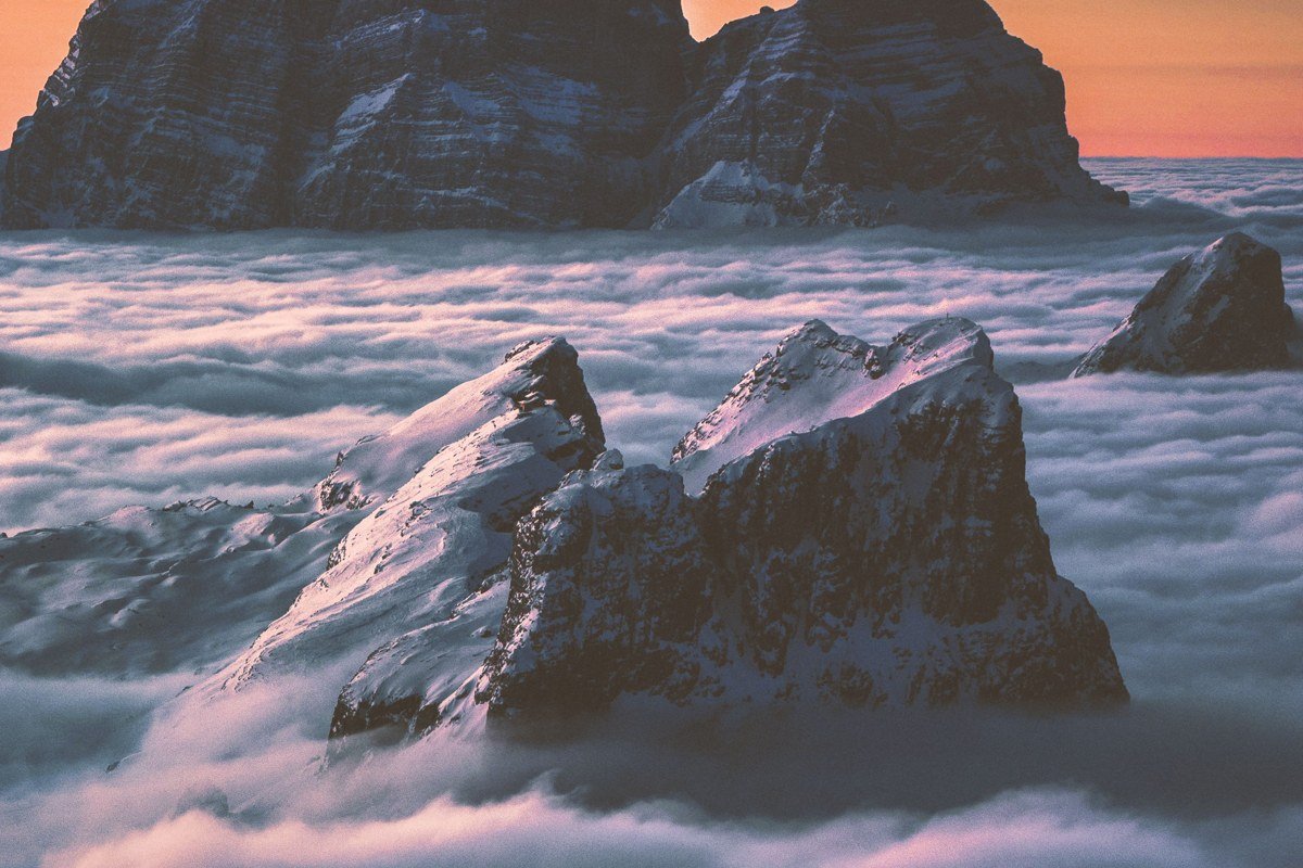Mount Rainier's summit floating above a sea of cloud, seen from Paradise at sunrise