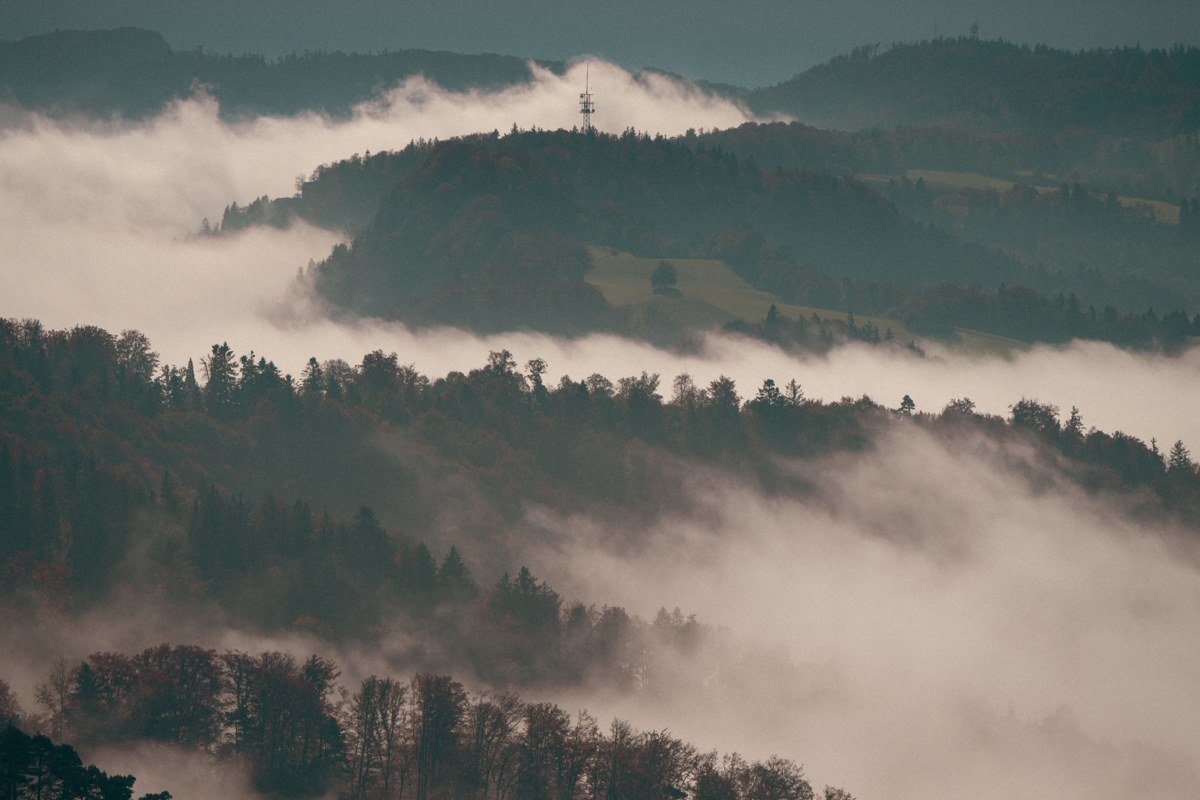Foothills Parkway Look Rock overlook at sunrise with layered fog-filled valleys, Tennessee