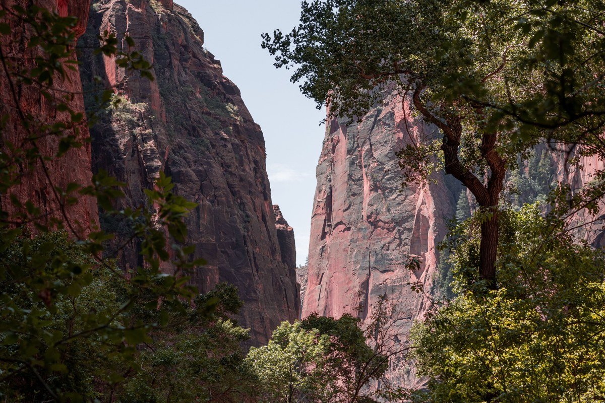 The Narrows Zion National Park wading through Virgin River between towering sandstone walls