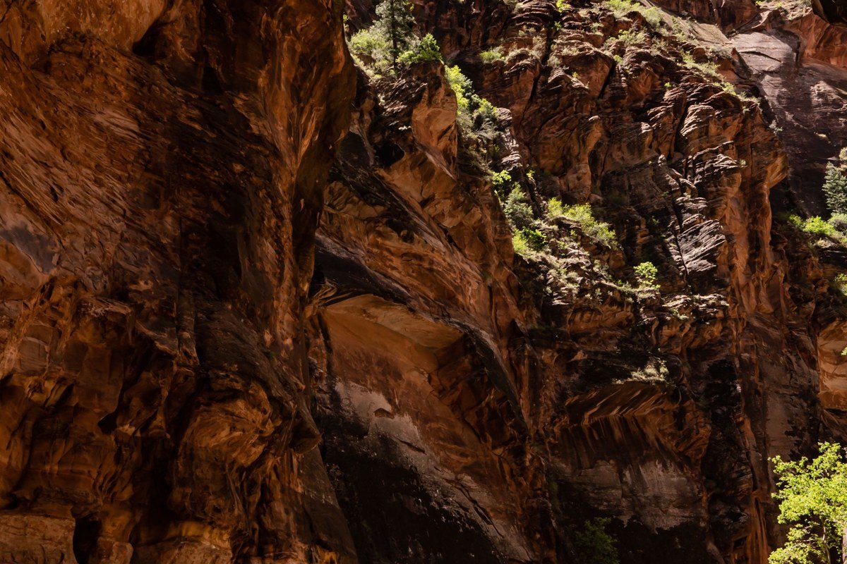 Hidden Canyon trail Zion National Park chains and narrow ledge above canyon floor