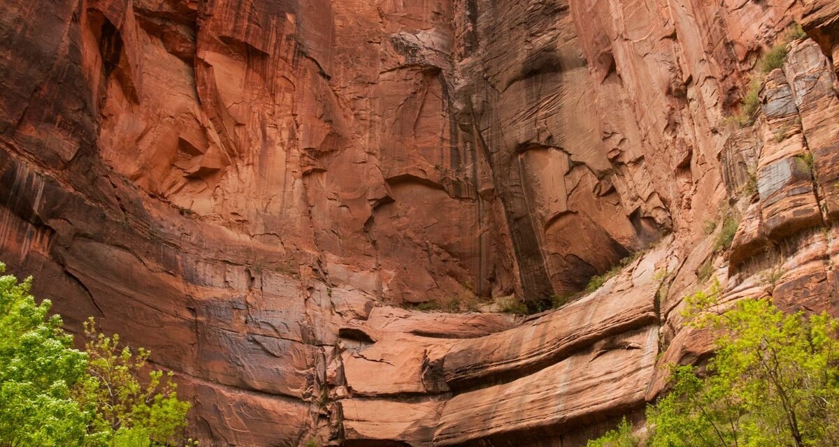 Zion Canyoneering for First-Timers: 8 Slot Canyons That Won't Scare You Off
