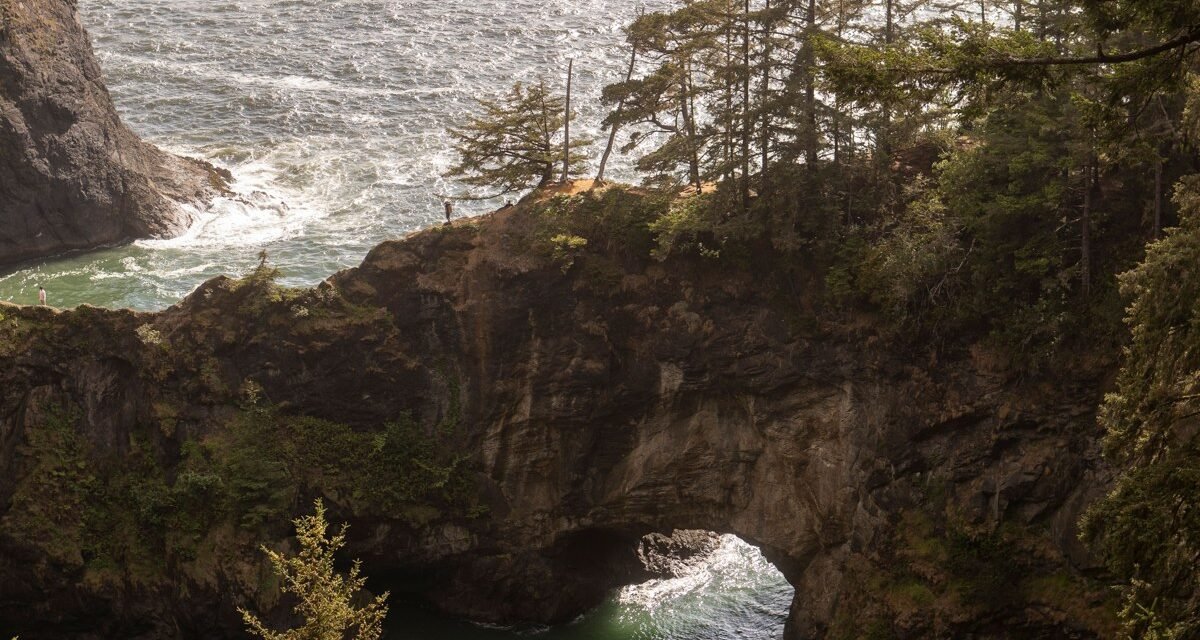 9 Stretches of the Oregon Coast Where the Fog Looks Like It's Alive