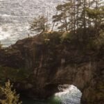 9 Stretches of the Oregon Coast Where the Fog Looks Like It's Alive