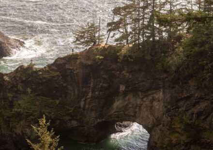 9 Stretches of the Oregon Coast Where the Fog Looks Like It's Alive