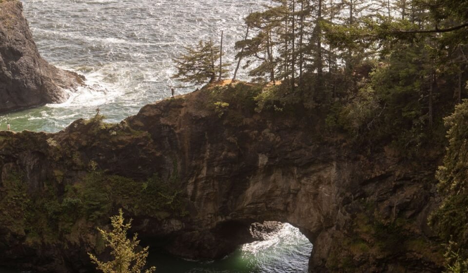 9 Stretches of the Oregon Coast Where the Fog Looks Like It's Alive