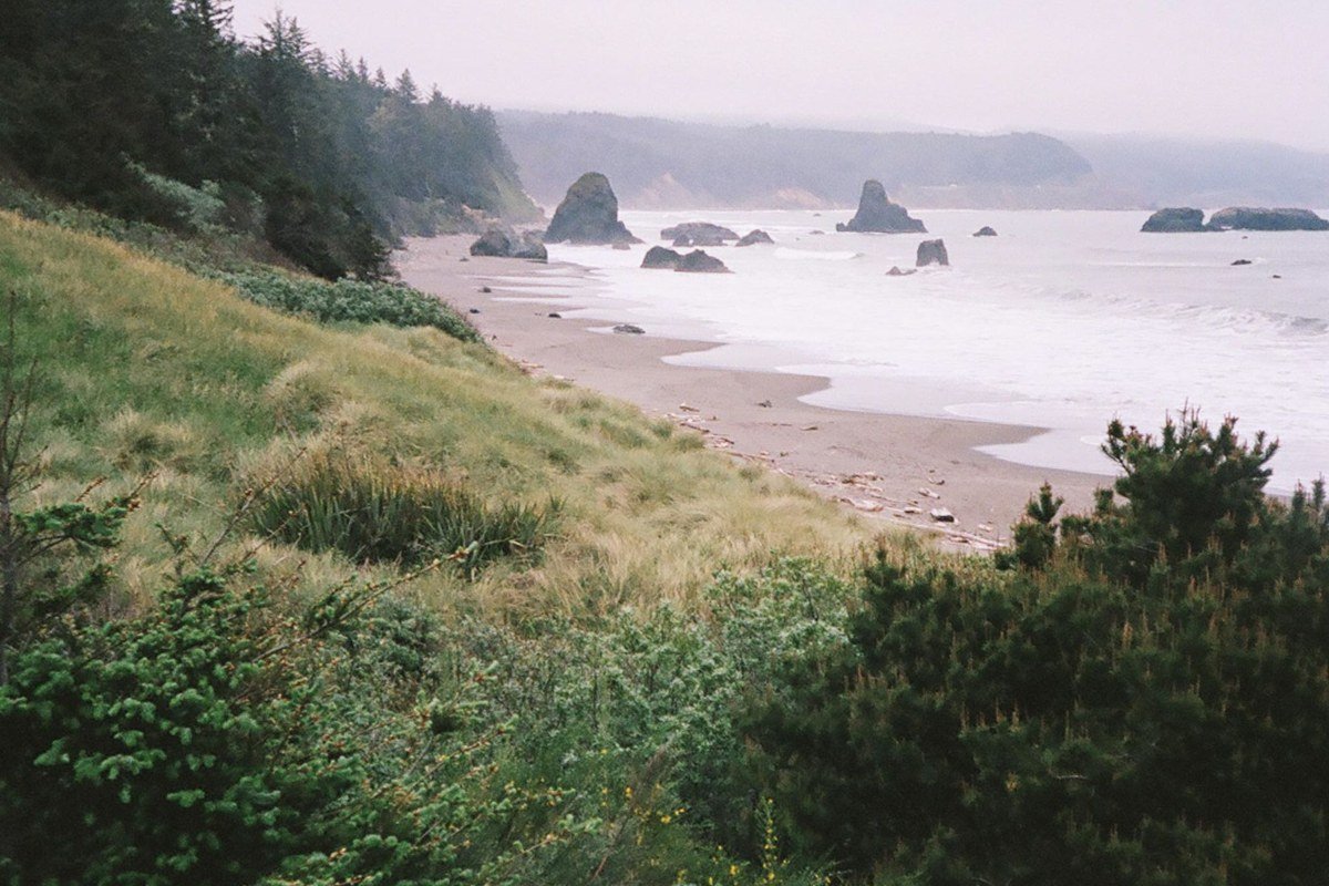 sandstone cliffs and sea stack at Cape Kiwanda wrapped in fog, Pacific City, Oregon