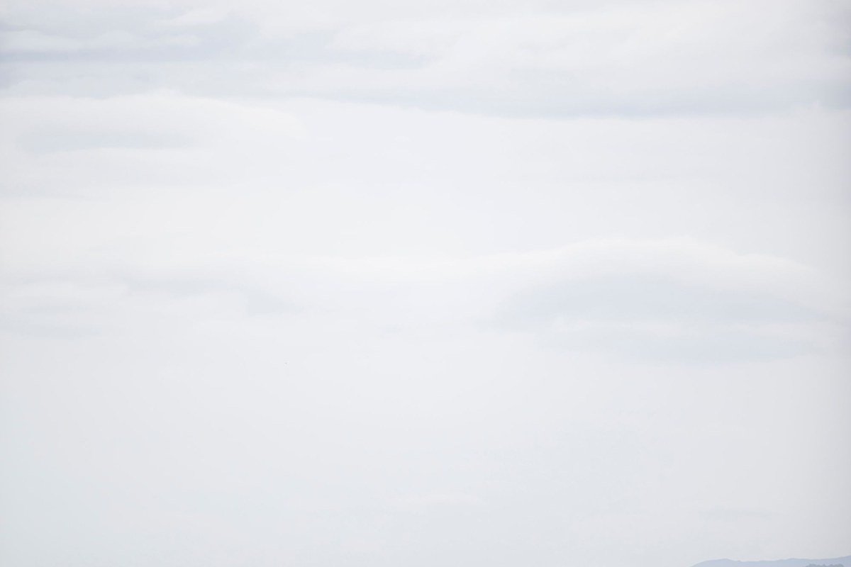 sea stacks and jagged coastline shrouded in fog along Samuel H. Boardman Scenic Corridor, Oregon
