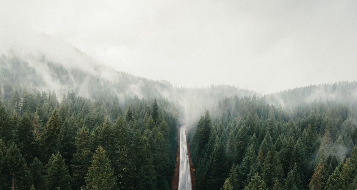 A Pacific Northwest Road Trip Built Entirely Around Fog Forecasts: 10 Stops to Time Right