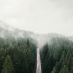 A Pacific Northwest Road Trip Built Entirely Around Fog Forecasts: 10 Stops to Time Right
