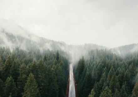A Pacific Northwest Road Trip Built Entirely Around Fog Forecasts: 10 Stops to Time Right