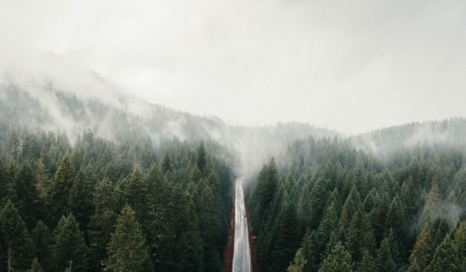 A Pacific Northwest Road Trip Built Entirely Around Fog Forecasts: 10 Stops to Time Right