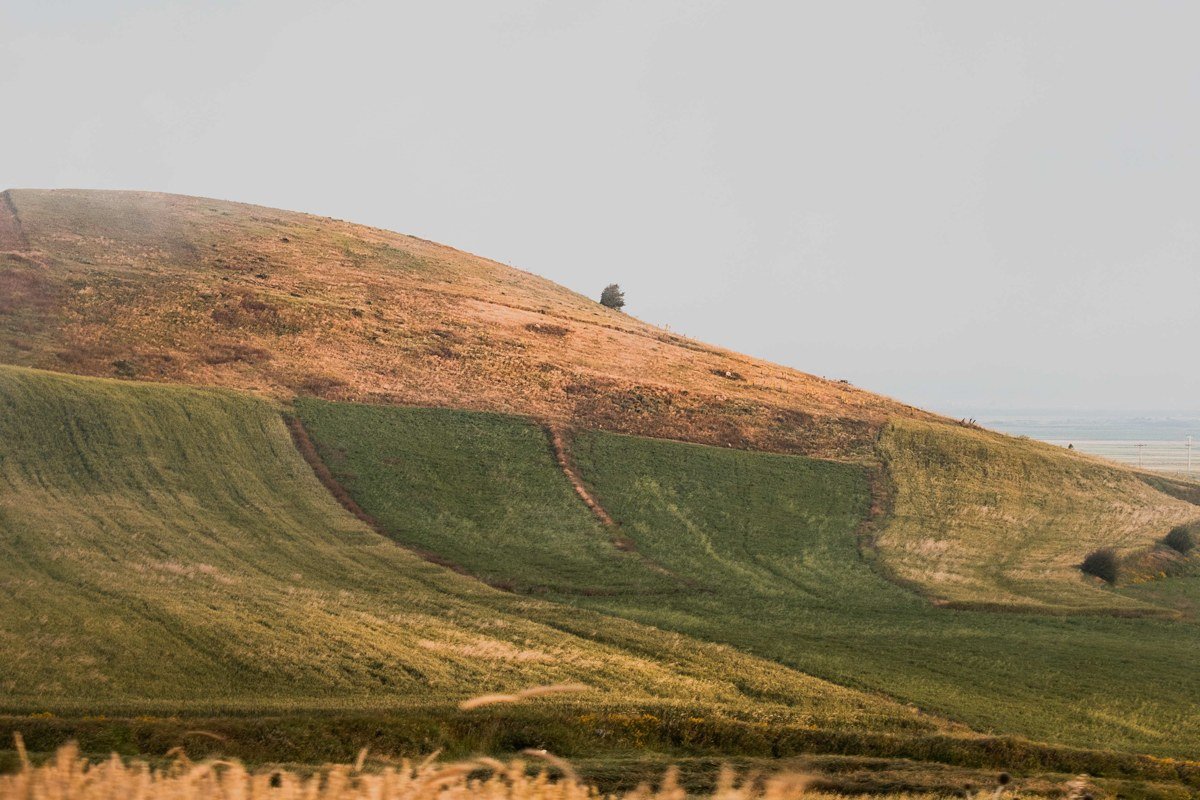 rolling wheat fields of the Palouse Washington blanketed in autumn fog at sunrise