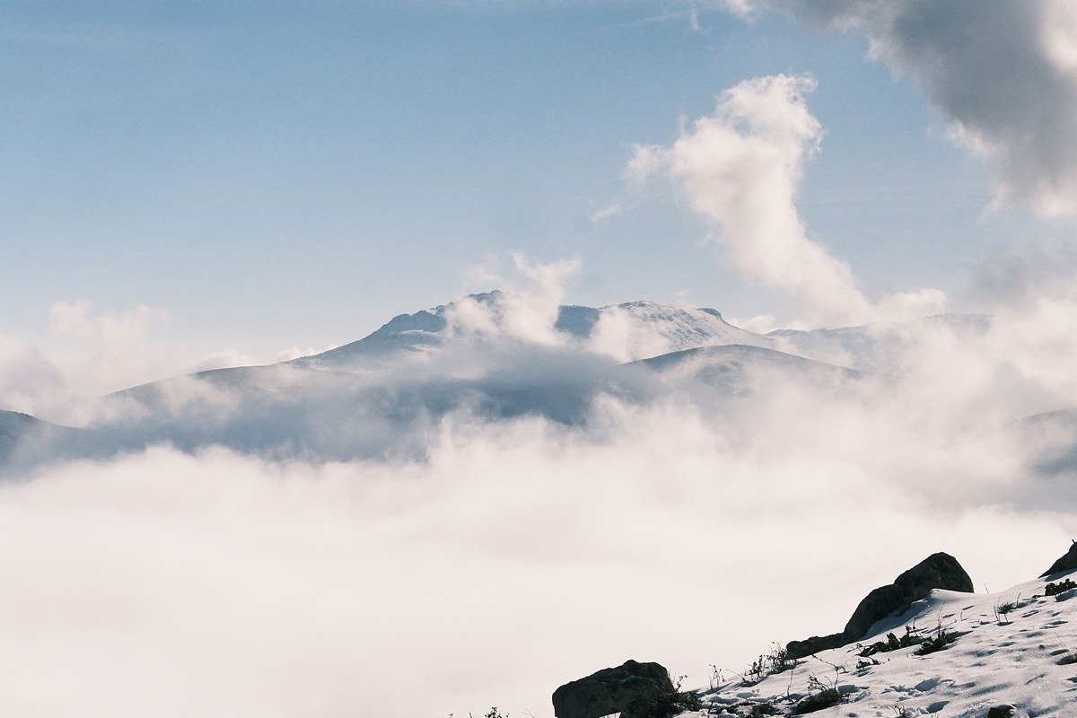Mount Rainier summit above a sea of clouds with alpine meadows in the foreground