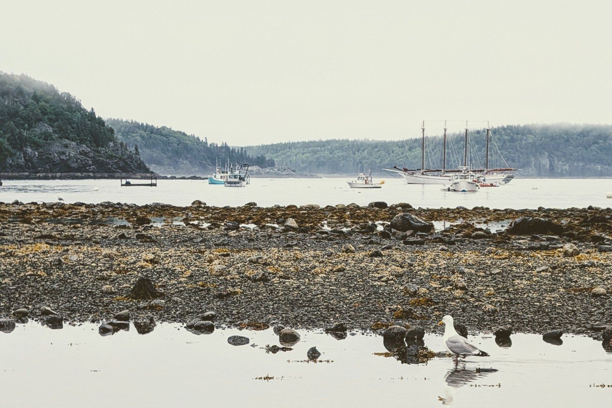 Bar Harbor Maine waterfront with Frenchman Bay islands fading into fog
