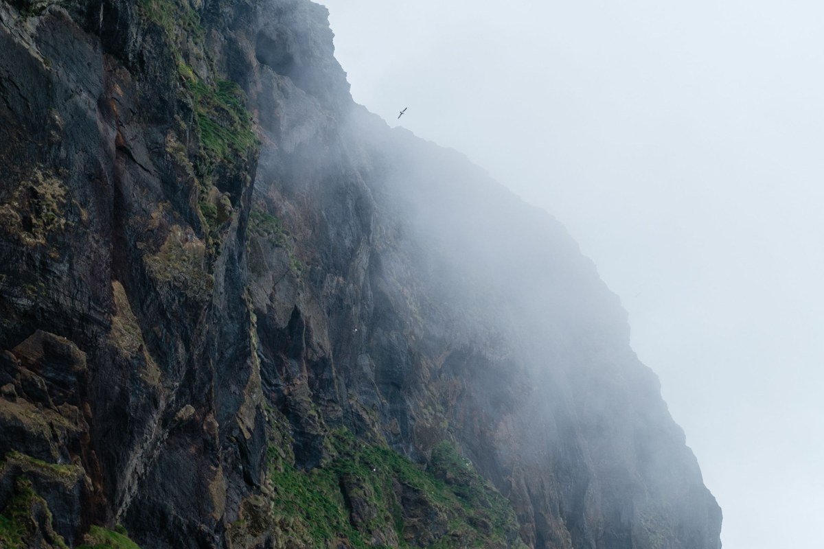 Bold Coast Maine cliffs near Cutler with fog over the Atlantic, no people