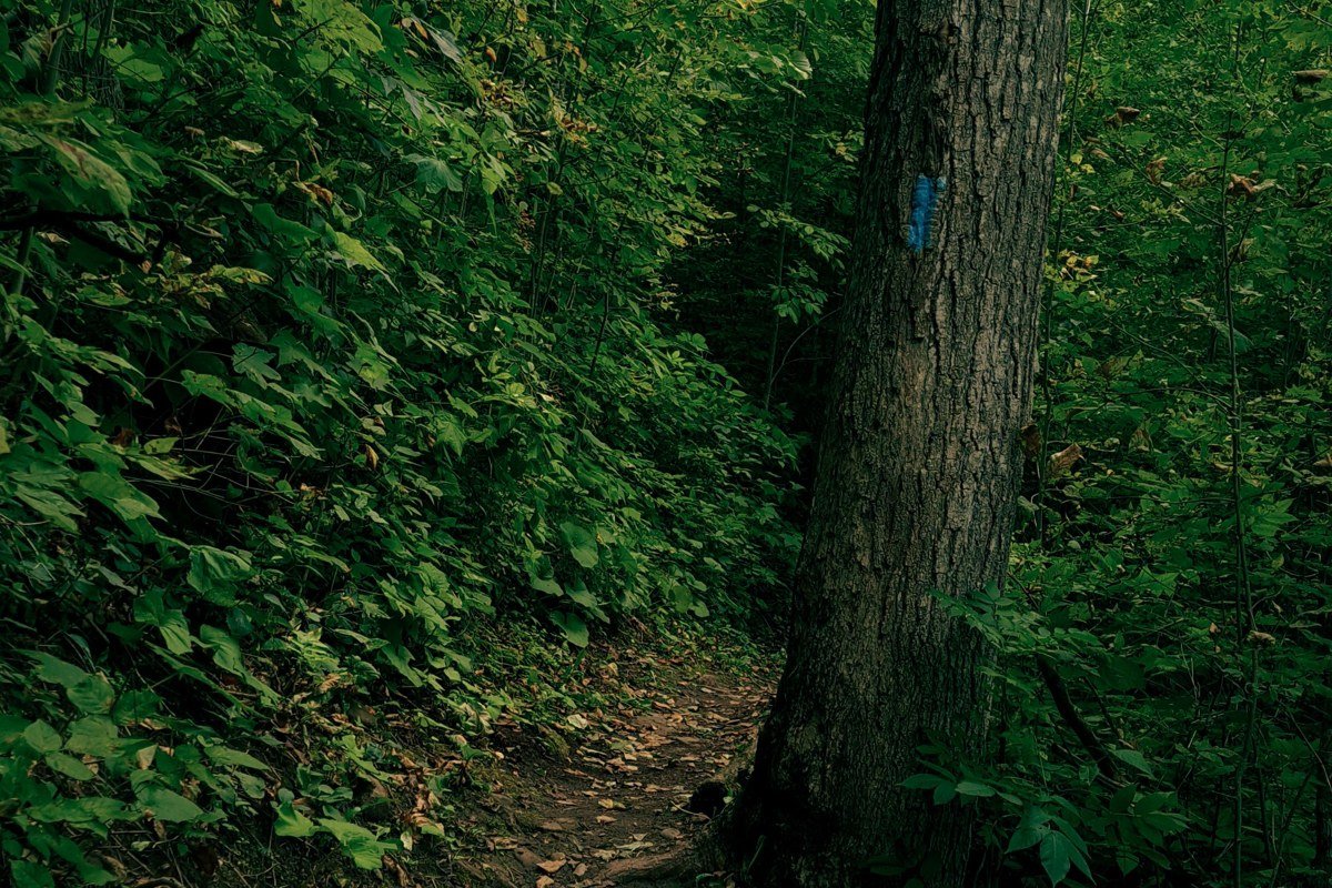 Oak Island Wisconsin hiking trail tall bluffs old growth forest Lake Superior