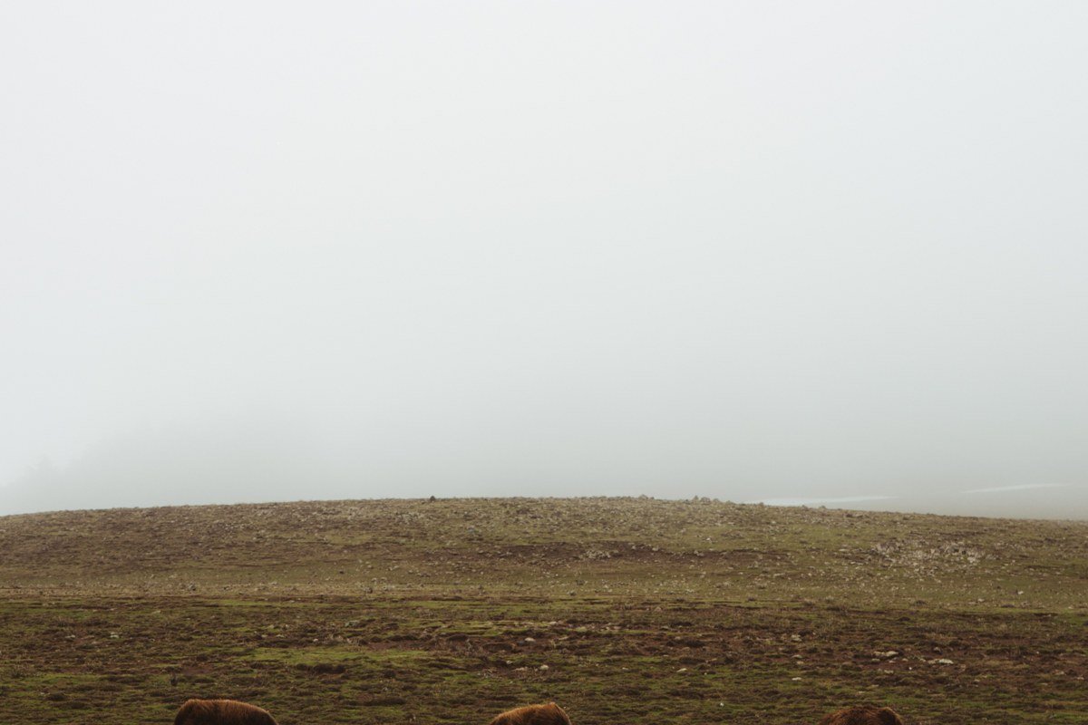 Sage Creek Rim Road Badlands overlook fog over grassland and bison herd
