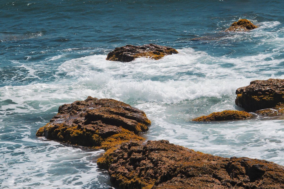 Garrapata State Park coastal bluff trail with steep drop to rocky shoreline, California