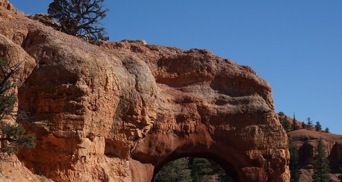 Canyonlands' Island in the Sky: 10 Overlooks, Ranked by What You'll Actually See