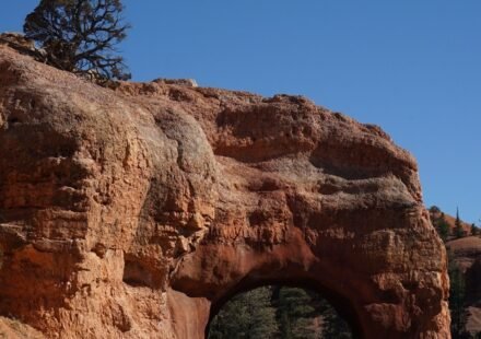 Canyonlands' Island in the Sky: 10 Overlooks, Ranked by What You'll Actually See