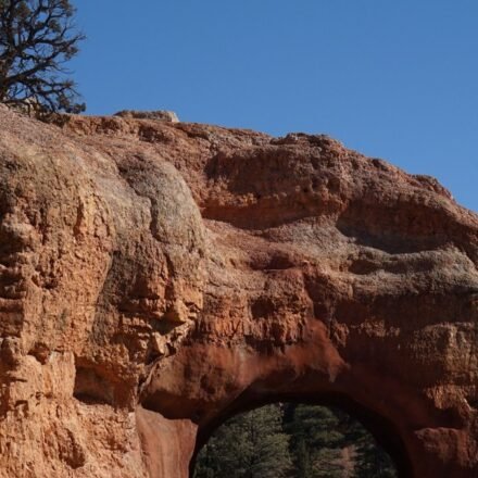 Canyonlands' Island in the Sky: 10 Overlooks, Ranked by What You'll Actually See