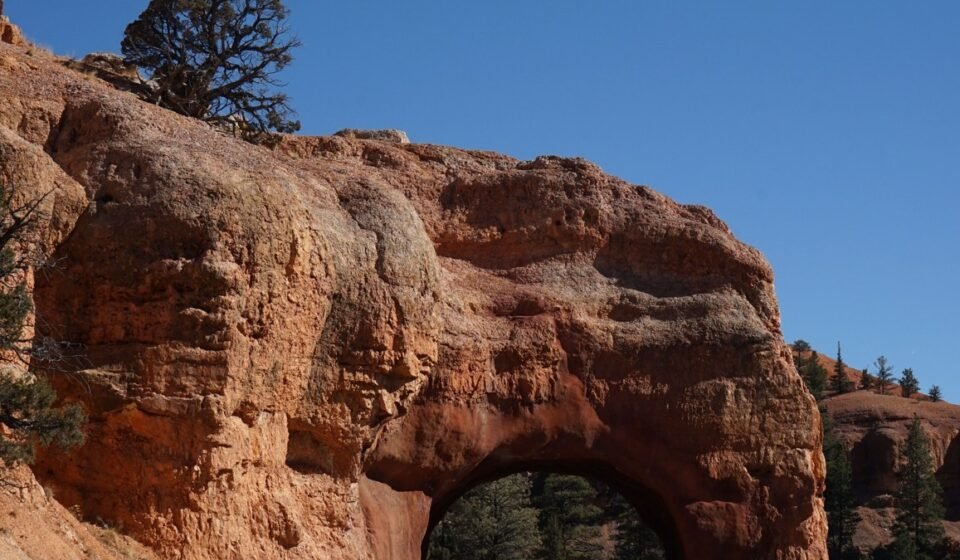 Canyonlands' Island in the Sky: 10 Overlooks, Ranked by What You'll Actually See