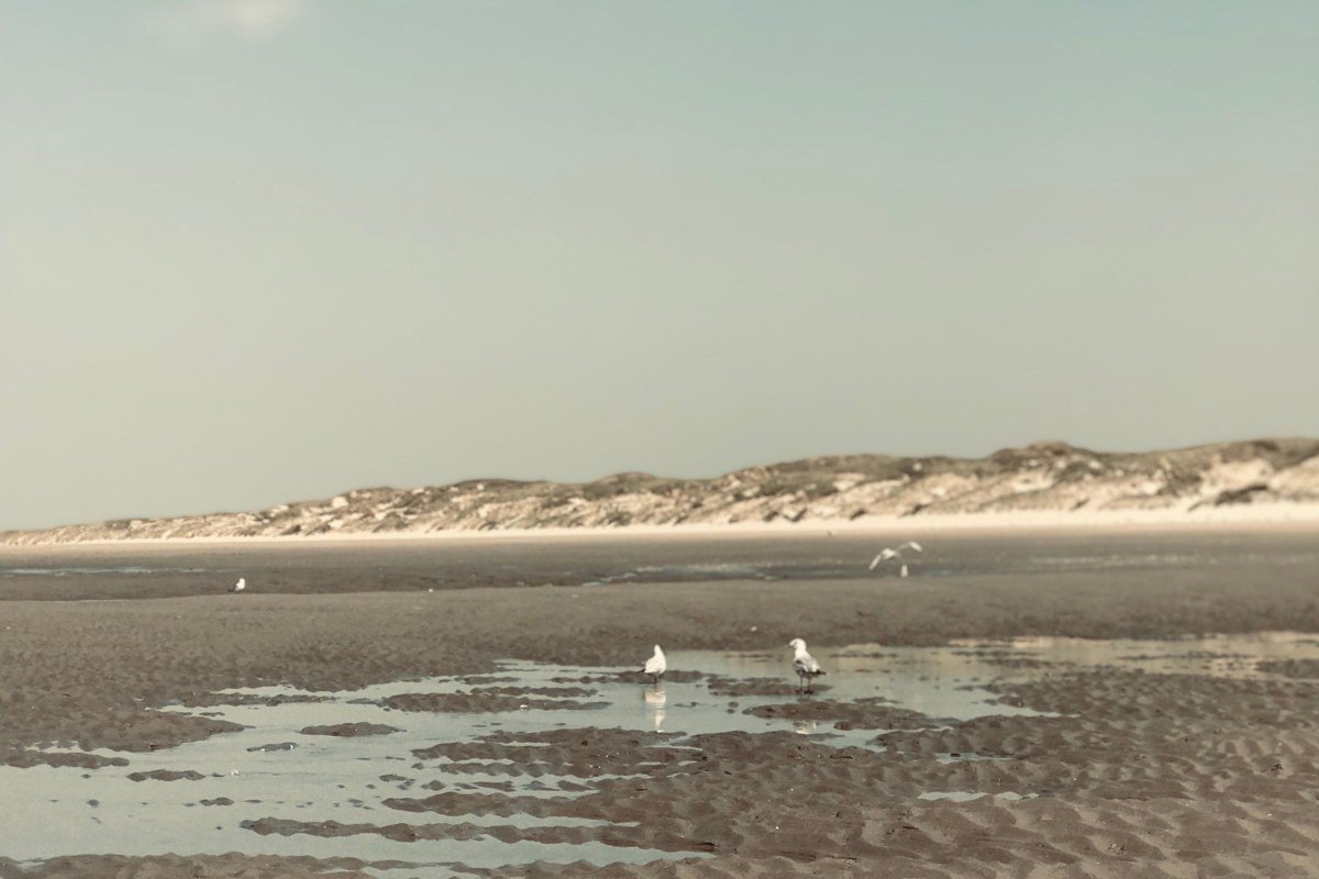 Skaket Beach Orleans Massachusetts low tide sandbars at sunset