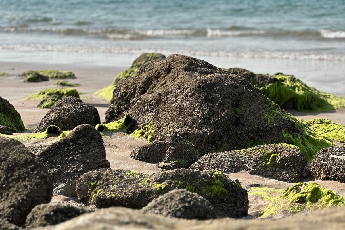 Corporation Beach Dennis Massachusetts tide pools rocky jetty
