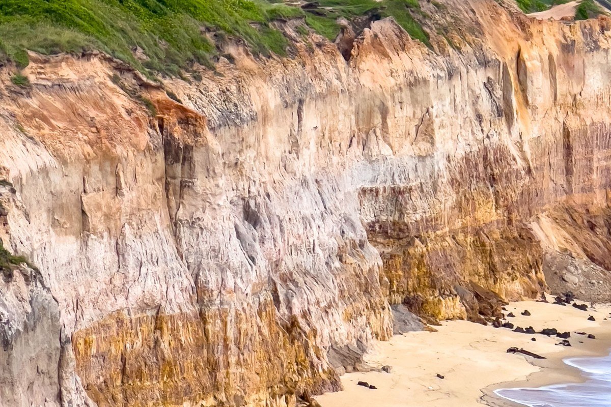 Coast Guard Beach Cape Cod bluffs and wide sandy shoreline at low tide