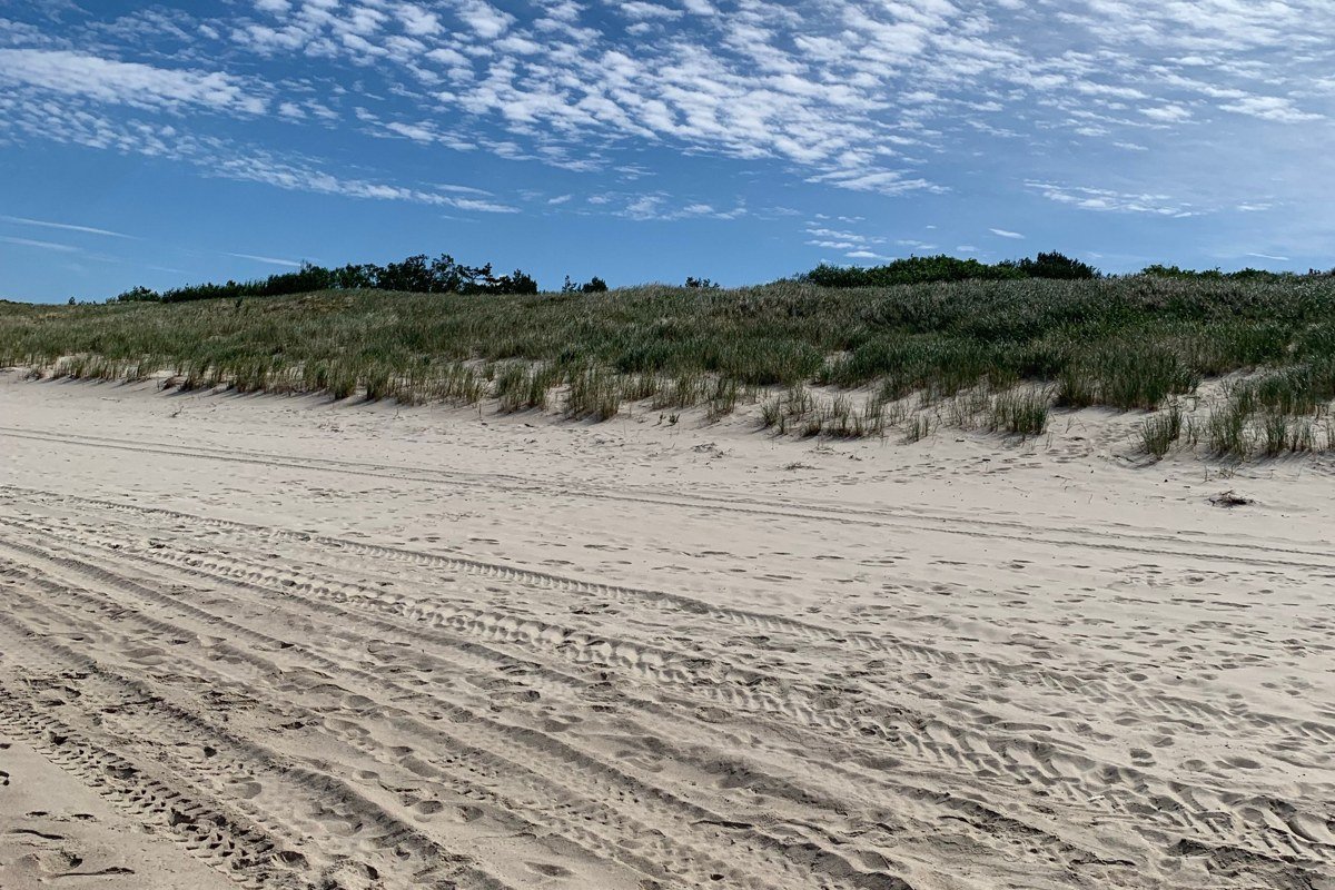 Sandy Neck Beach Barnstable dunes and marsh grass at sunset