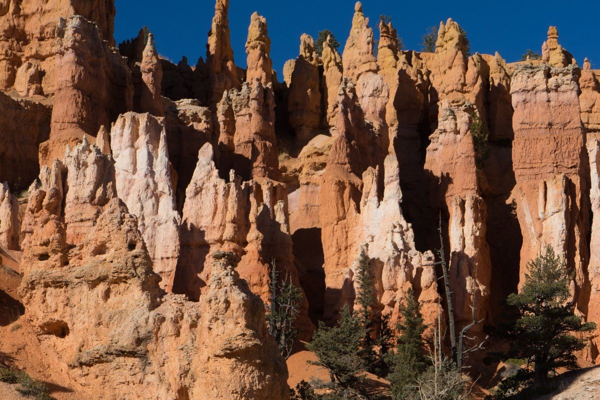 Sunrise Point at Bryce, 15 minutes before official sunrise, when the hoodoos are still blue-grey and the rim crowd hasn't arrived yet