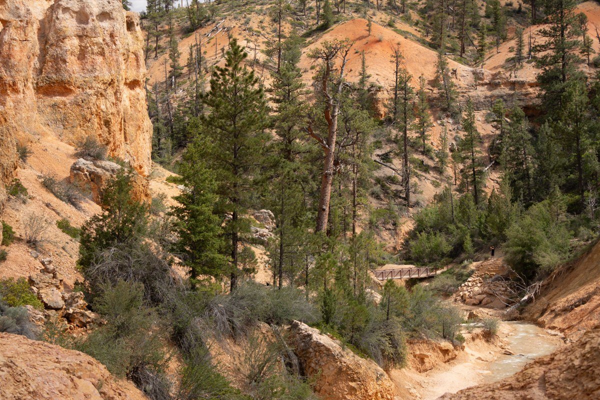 Red Canyon Utah highway tunnels carved through orange rock formations with ponderosa pines