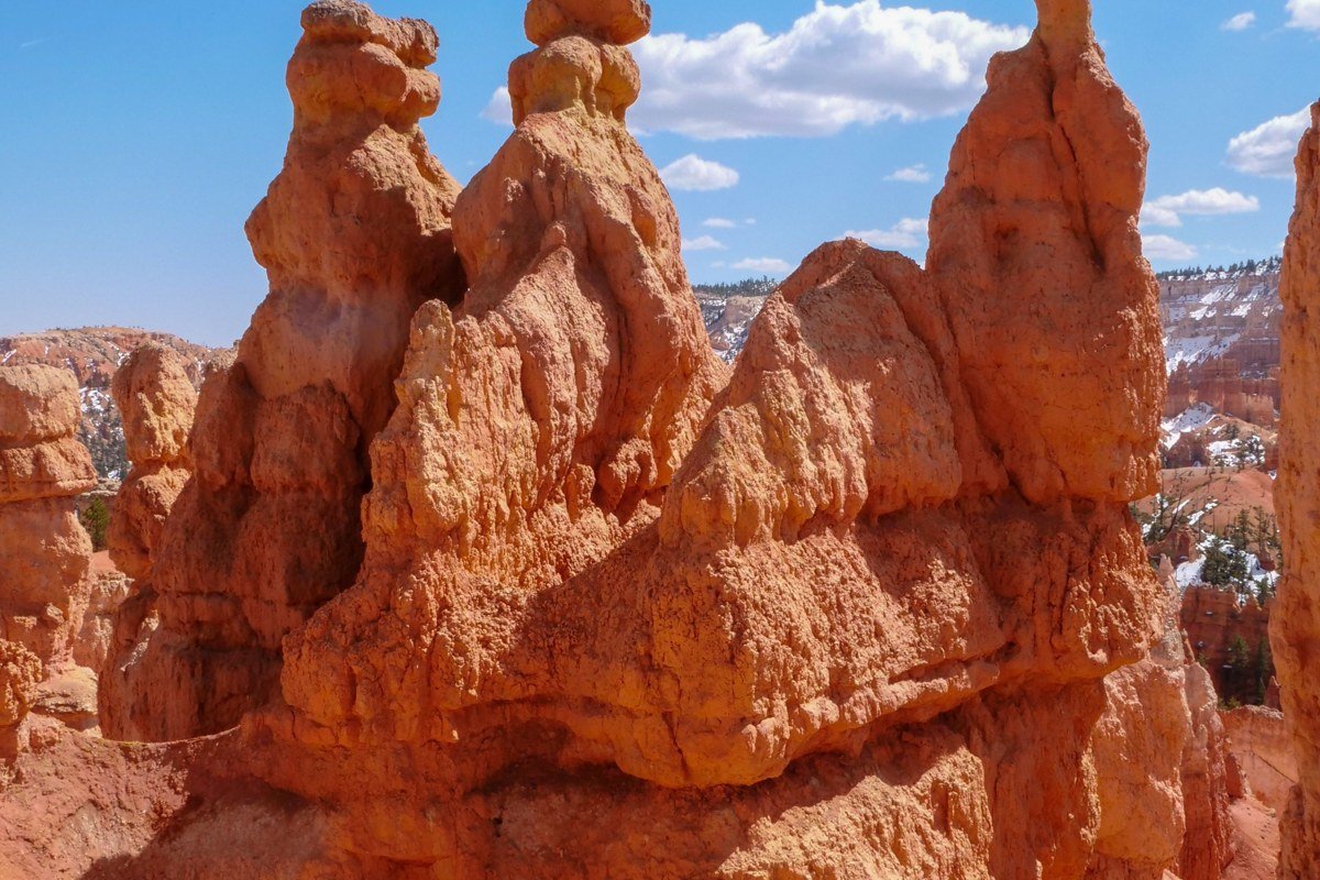 Bryce Point sunrise overlook with layered hoodoo spires stretching to the horizon