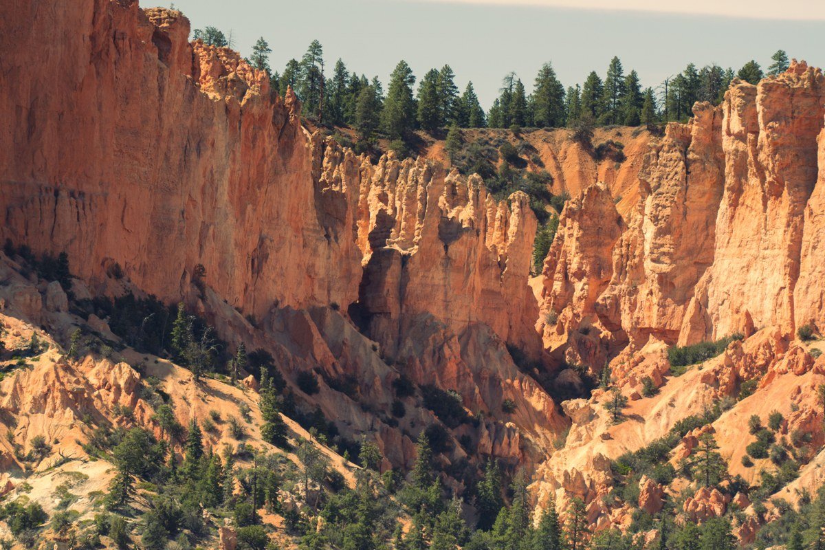 Hell's Backbone Bridge narrow ridge road with steep drop-offs and ponderosa forest in Utah
