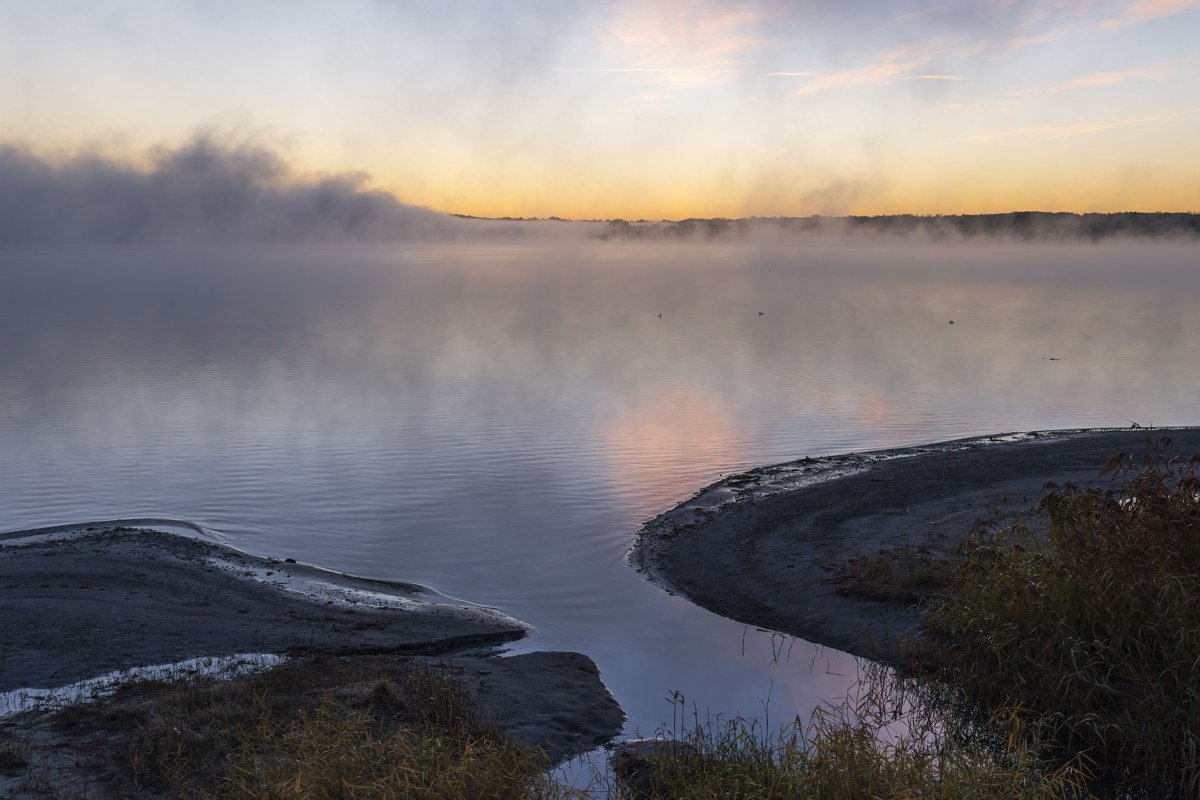 Seneca Lake vineyard terraces wrapped in fog at sunrise
