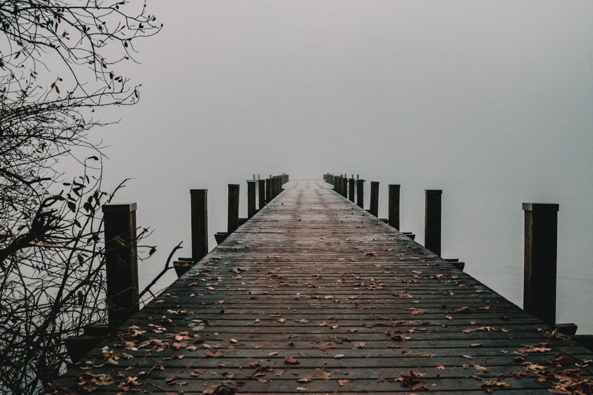 Cayuga Lake scenic byway overlook with vineyard rows and morning fog layering over water