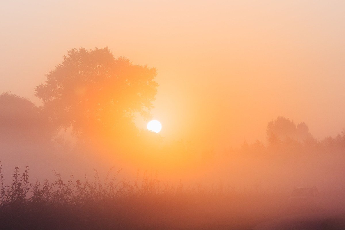 Morton Overlook with fog-draped ridgelines and warm sunrise color along US-441