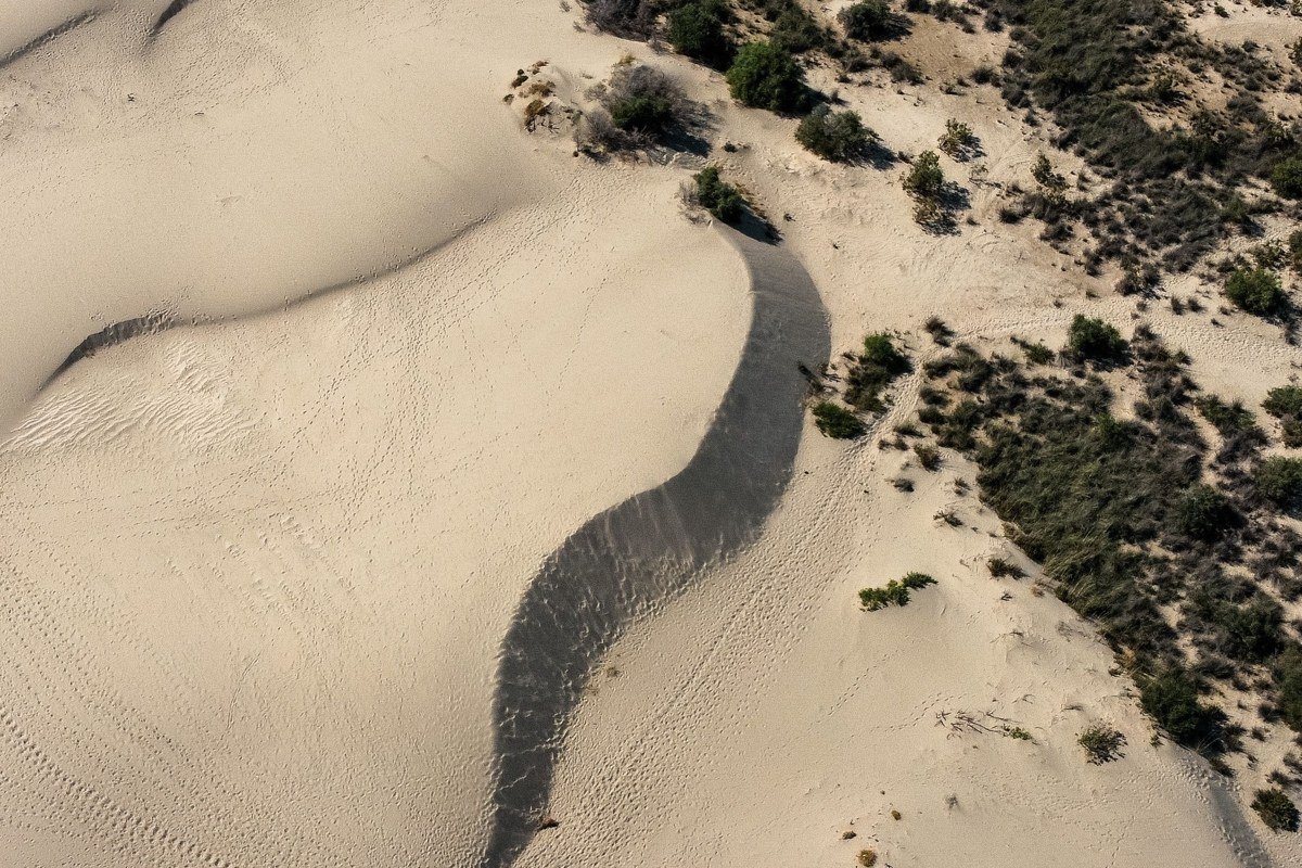 Monahans Sandhills State Park Texas rolling dunes with sparse shin oak