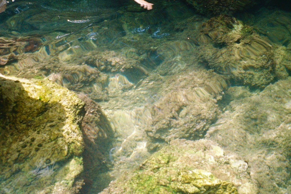 snorkeler over coral reef at Looe Key Florida with colorful reef fish, shot mid-morning in clear calm water
