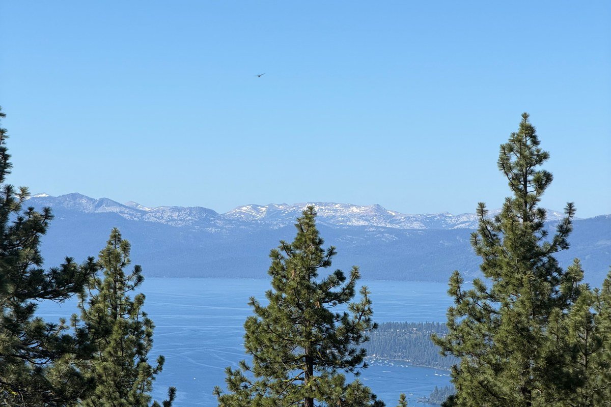 Camp Richardson California cabins among pine trees near Lake Tahoe shoreline