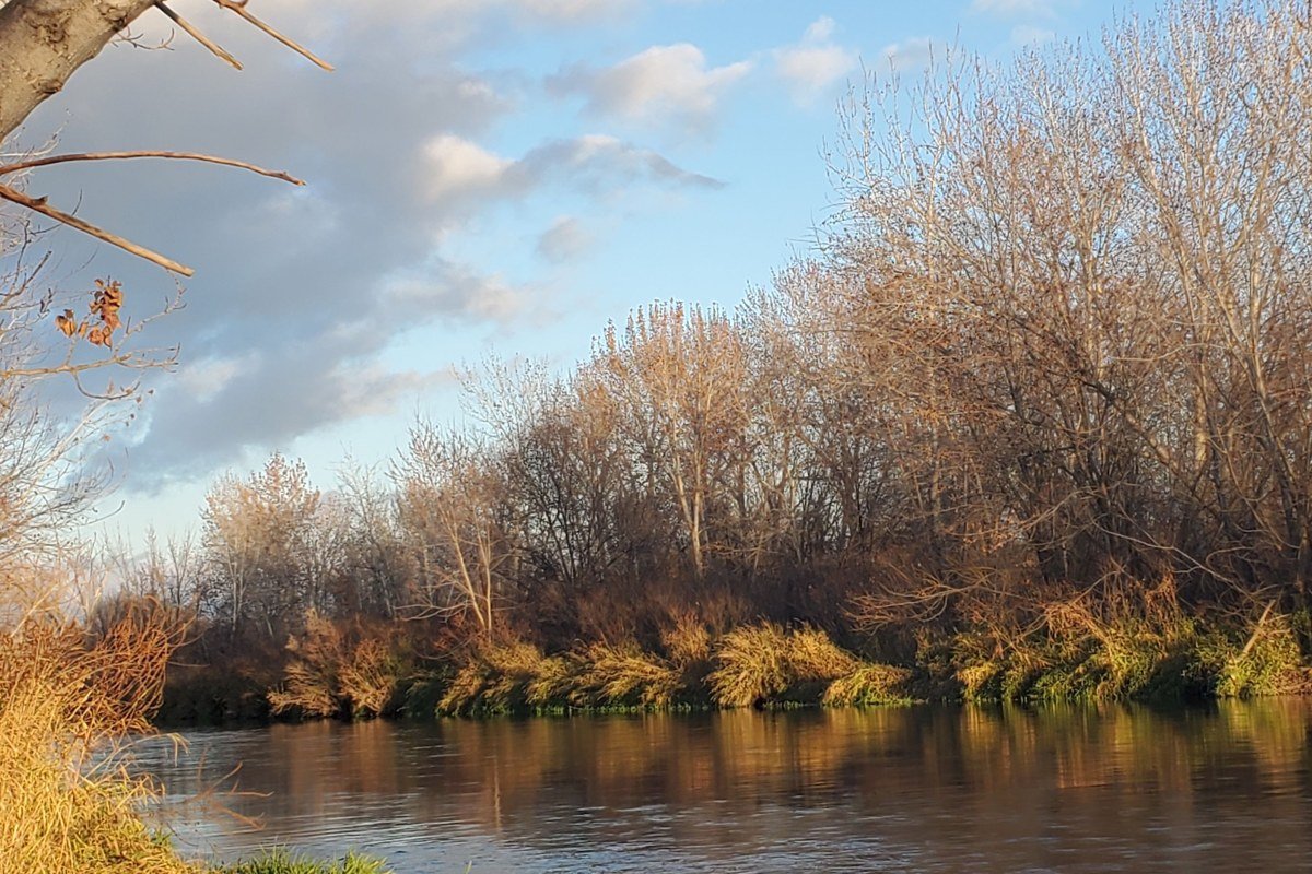 a gravel river bar with tree lines fading to white on both banks