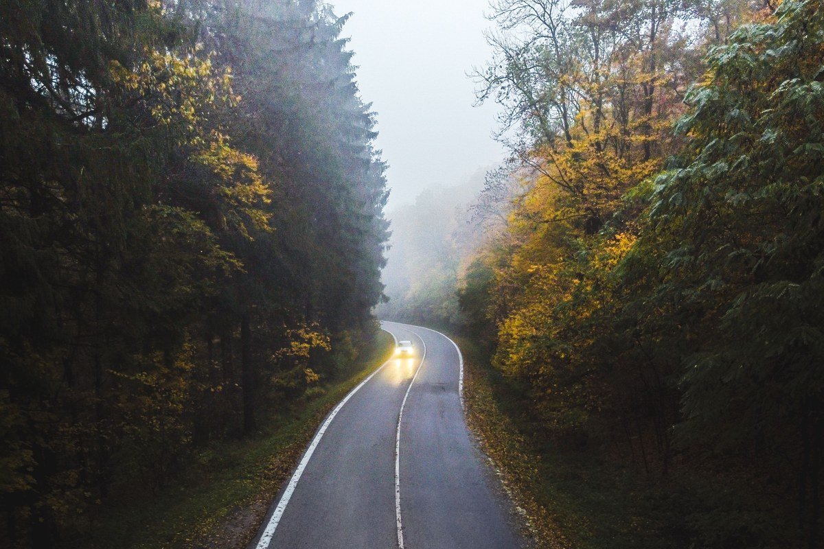 a narrow forest road with low fog hanging just above the pavement