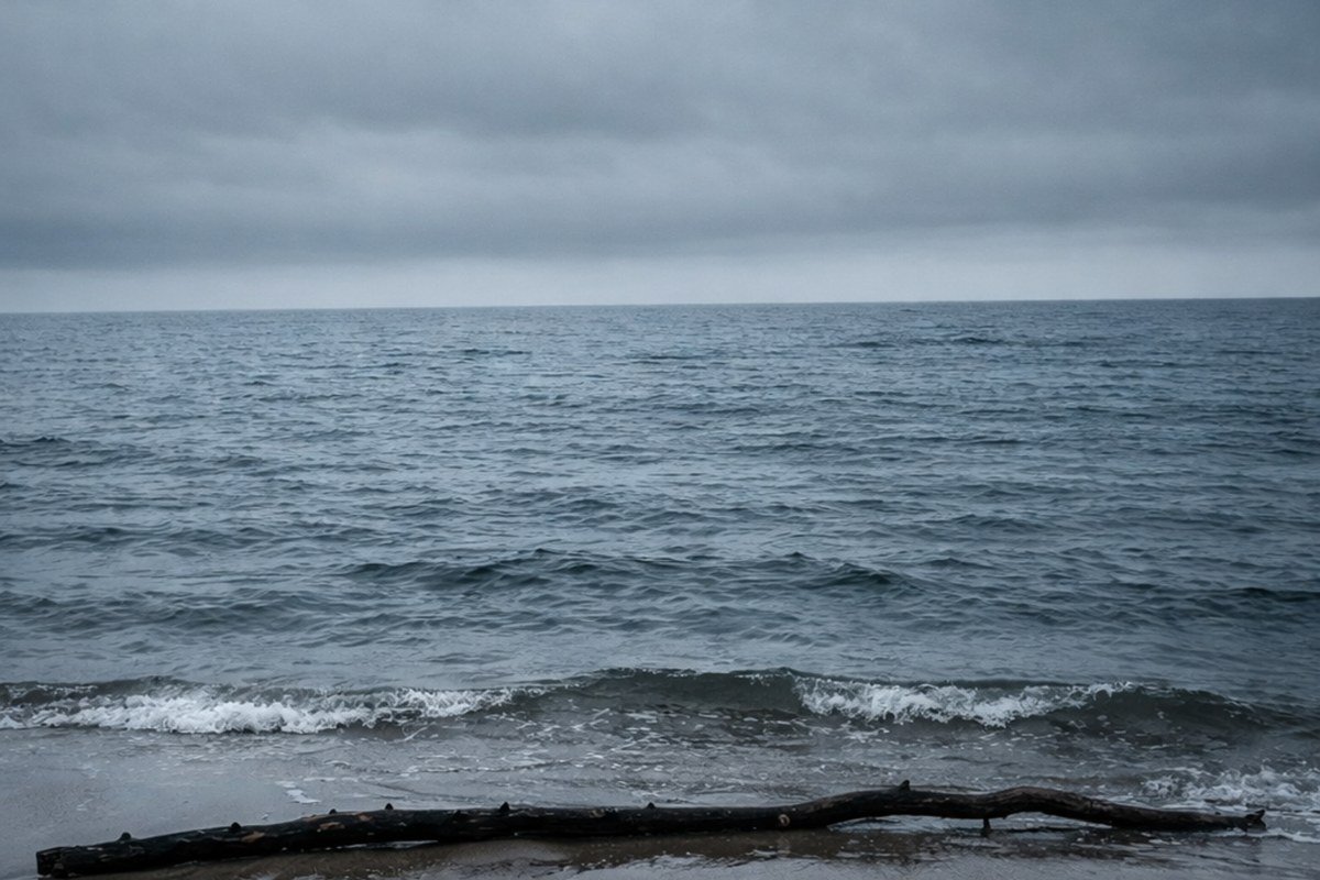 Kalaloch Beach Olympic National Park driftwood logs in coastal morning fog