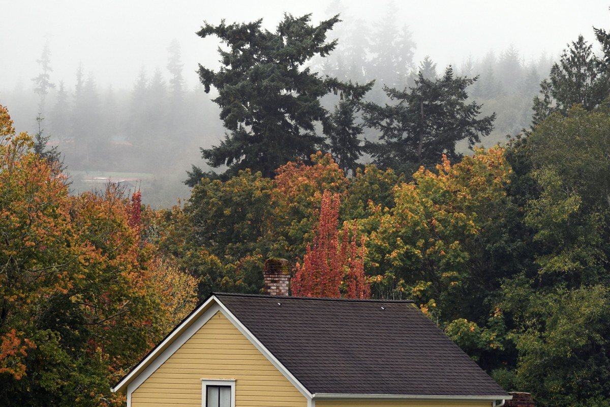 WWII Radar Station B-71 disguised farmhouse building in fog, Redwood National Park California