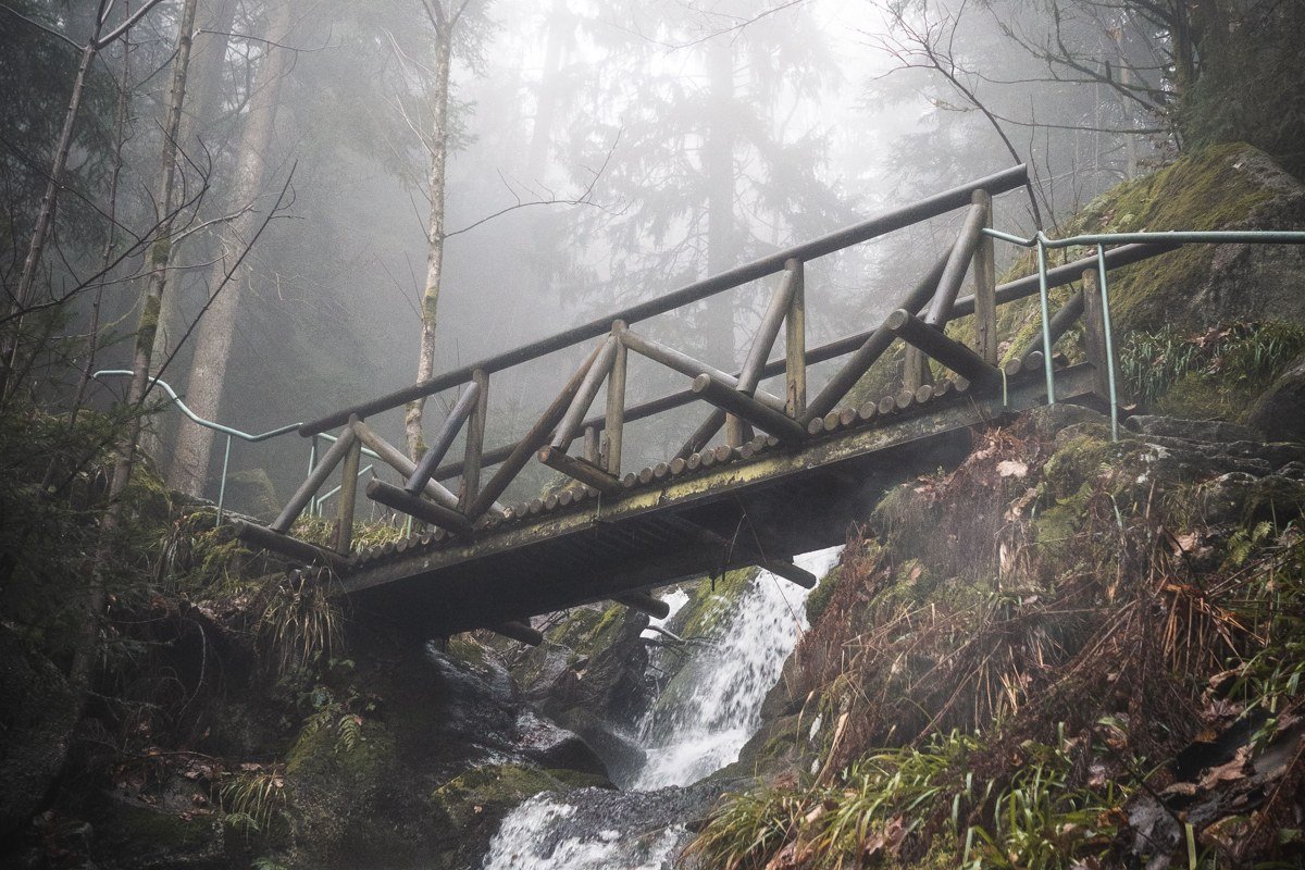 Trillium Falls Trail California waterfall surrounded by ferns and foggy redwoods