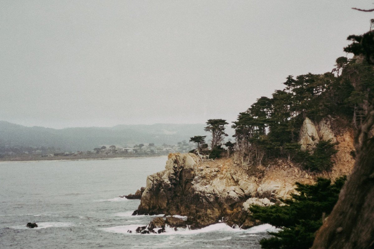 Coastal Trail fog rolling over cliffside redwoods above a gray Pacific Ocean